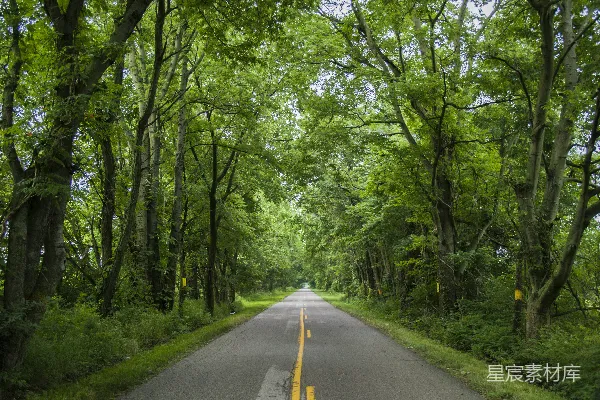 高清摄影 空旷的道路