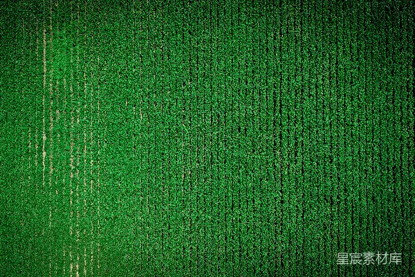 高清摄影 在特写摄影中，绿色纺织品