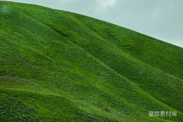 高清摄影 一座长满草的小山，山顶上有一棵树。