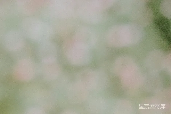 高清摄影 一张模糊的照片，上面有一只鸟停在树枝上。