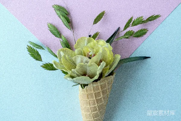 高清摄影 黄色和粉色的花束