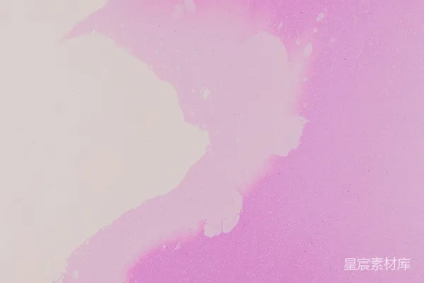 高清摄影 粉色和白色背景上有一只黑白相间的猫