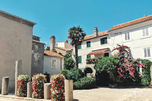 高清摄影 白色和棕色的混凝土建筑