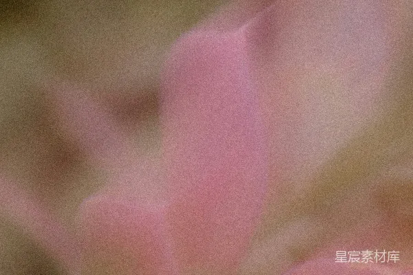 高清摄影 柔和的粉色花瓣，背景模糊为棕色。