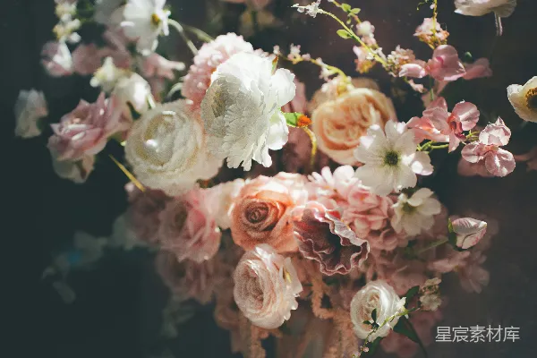 高清摄影 一束柔和的粉白相间的花朵。