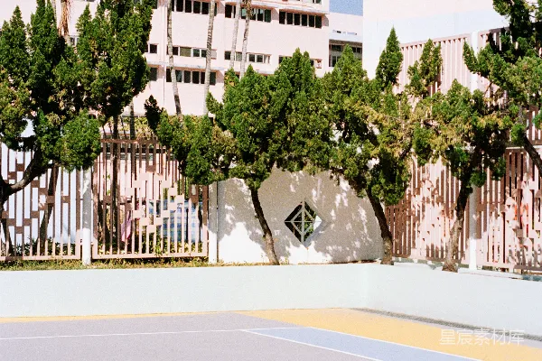 高清摄影 篮球场，棕榈树和建筑物。