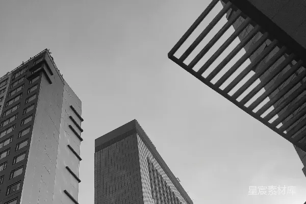 高清摄影 一张黑白照片，展示了两栋高大的建筑。