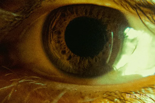 高清摄影 一张人类棕色眼睛的特写照片