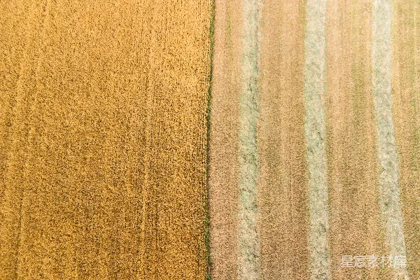 高清摄影 从飞机窗口看到的田野景色