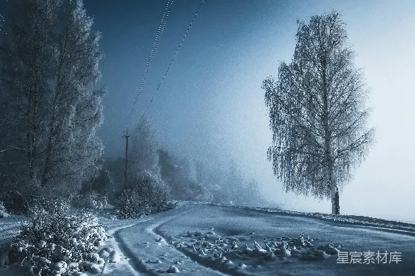 高清摄影 一个雾气蒙蒙的夜晚，前景中有一棵孤树。