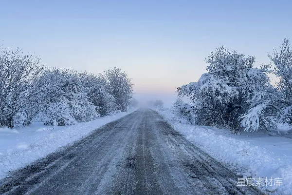 高清摄影 一条覆盖着积雪的小路，两旁是树木和灌木丛。