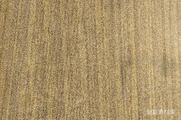 高清摄影 一个浅棕色的木制表面，木纹竖直。