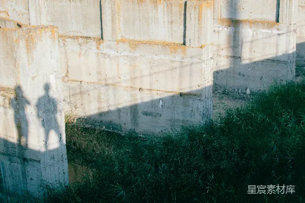 高清摄影 绿色的草地
