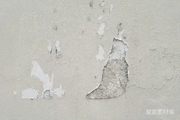 高清摄影 一只狗的爪印在沙滩上