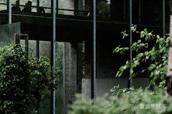 高清摄影 一座建筑物前面有许多树木的建筑。