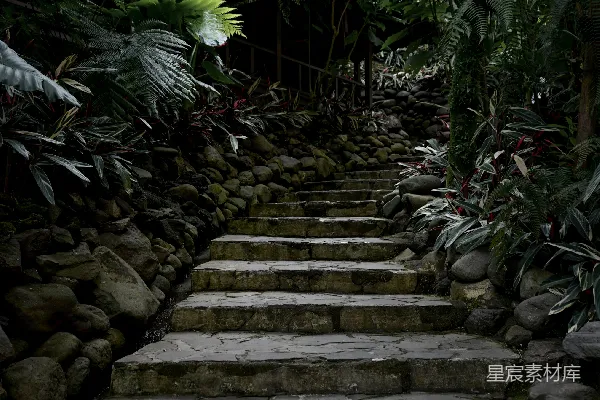 高清摄影 一条石阶通向森林的小路