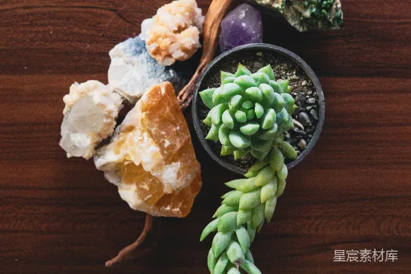 高清摄影 多汁植物和彩色晶体摆放在深色木材上。