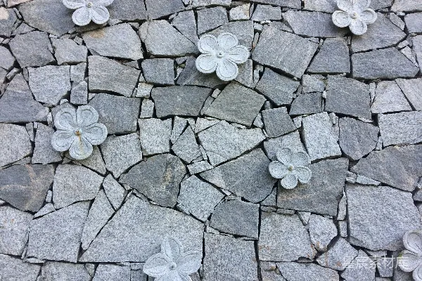 高清摄影 一些岩石上的一簇花