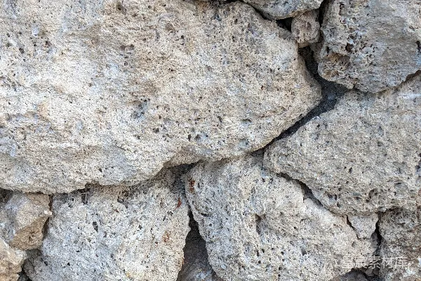 高清摄影 一张岩石墙的特写照片。
