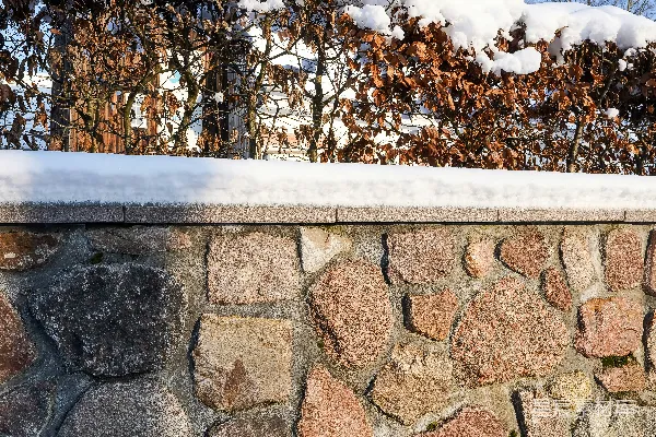 高清摄影 石墙后面有积雪覆盖的灌木丛。