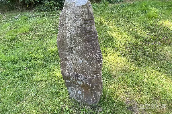 高清摄影 草地上的石头