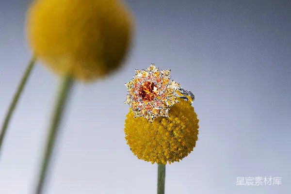 高清摄影 一枚闪亮的戒指放在一朵黄色的花上。