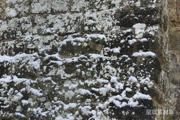 高清摄影 石头墙上长着斑驳的积雪和地衣。