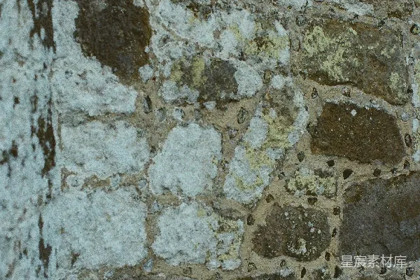 高清摄影 风化石墙上有地衣和青苔