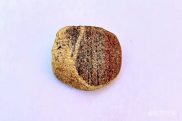 高清摄影 单条纹的石头在白色背景上