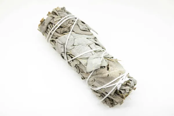 高清摄影 棕白相间的卷纸