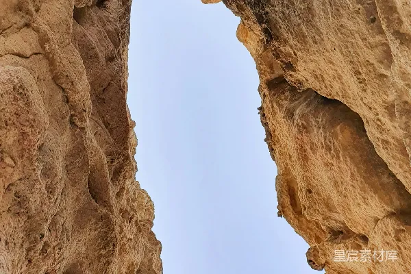 高清摄影 一只鸟栖息在岩石边缘。
