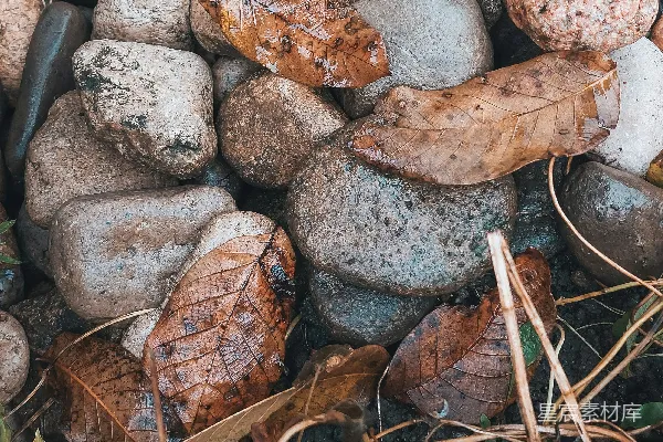 高清摄影 一群岩石