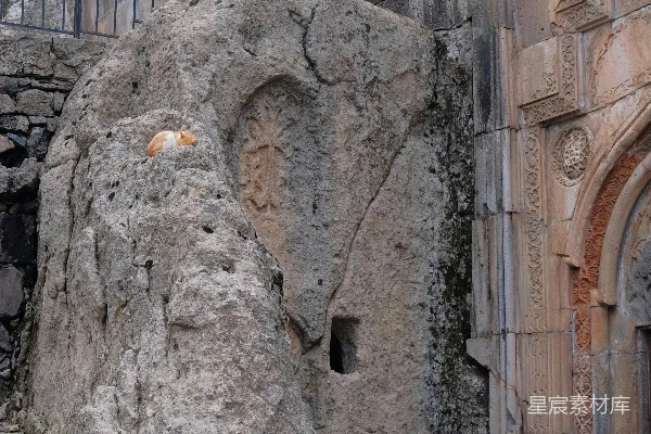 高清摄影 一只小猫静静地躺在一块巨大的岩石上。