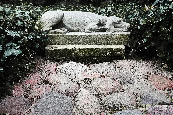 高清摄影 一只石头狗雕像矗立在绿叶丛中的台阶上。