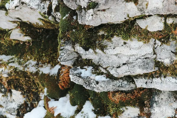 高清摄影 一面被雪覆盖的岩石墙的特写镜头