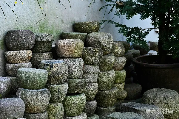 高清摄影 一堆岩石放在一盆植物旁边。