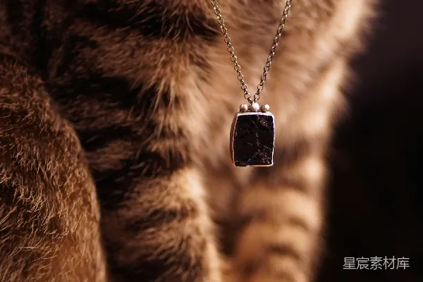 高清摄影 一只虎斑猫戴着一条深色石头吊坠项链。