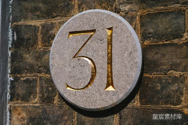 高清摄影 黑色圆形框内金色字母“Y”