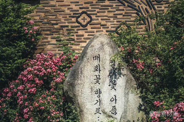 高清摄影 石头上写着韩文，周围环绕着粉红色的花朵和绿色植物。