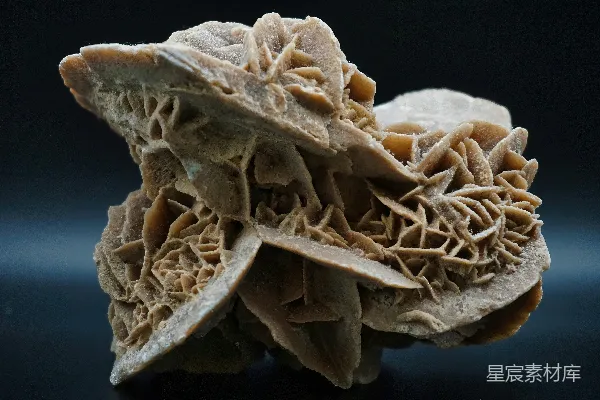 高清摄影 一张桌子上的一块食物的特写。