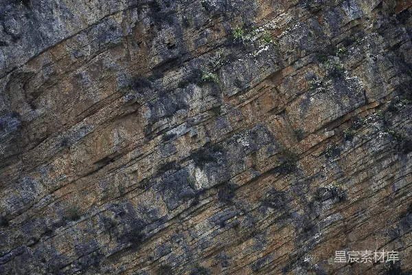 高清摄影 一座山边，一只鸟栖息在山顶。