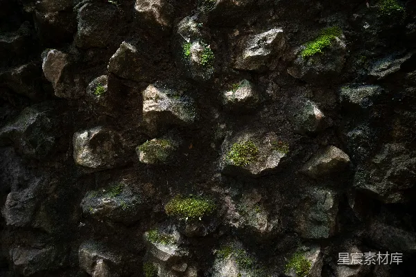 高清摄影 一张岩石的特写照片