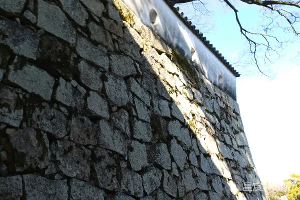 高清摄影 古老石墙与蓝天下的树枝