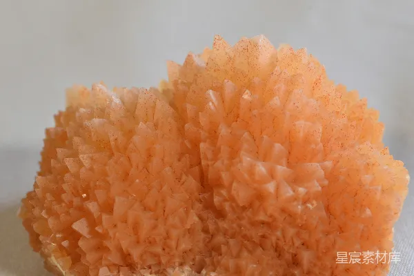 高清摄影 一张桌子上的一片水果的特写照片