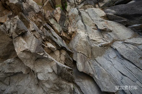 高清摄影 一块岩石上有一只鸟栖息着。