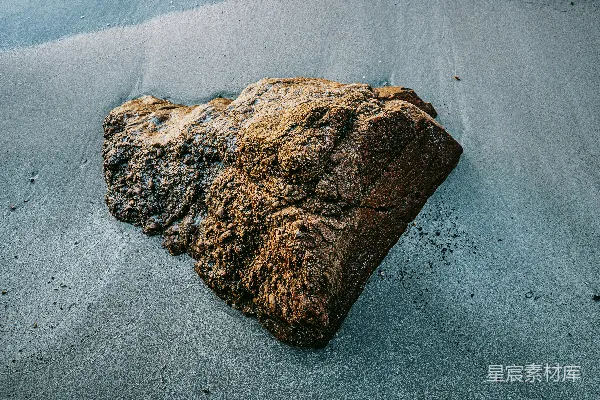 高清摄影 一块大而纹理丰富的岩石坐落在湿润的沙子上。