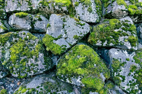 高清摄影 一叠覆盖着绿色苔藓的岩石。
