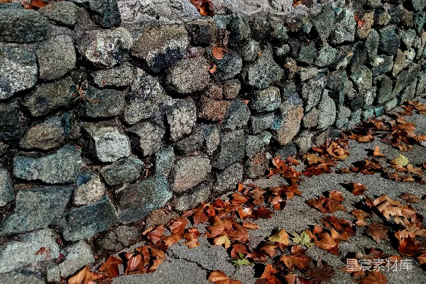 高清摄影 石墙上有落叶堆积在地上