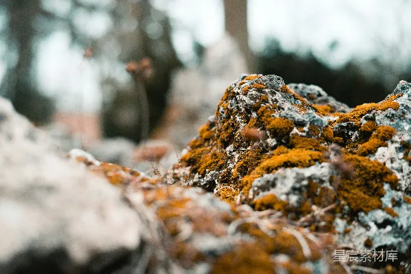 高清摄影 灰白石的精选摄影