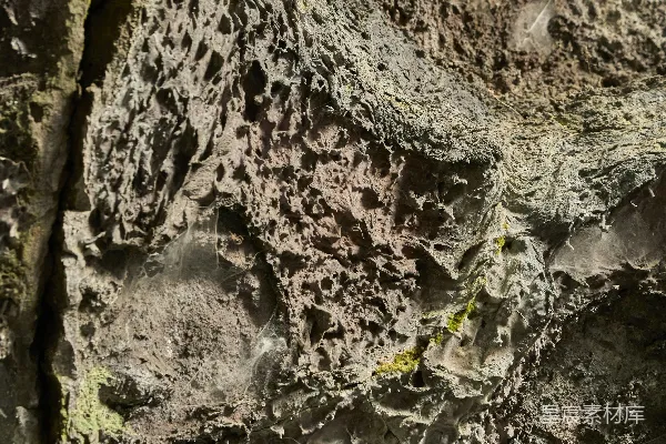 高清摄影 接近镜头拍摄的多孔火山岩，上面覆盖着苔藓。